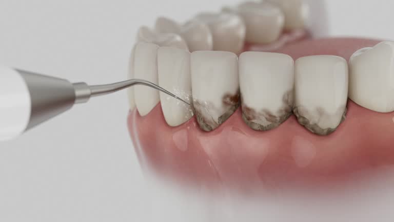 Reliable Dental contractor in Strawberry Plains, TN by Dentist Open Now